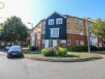 Thumbnail for sale in Plomer Avenue, Hoddesdon