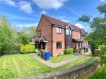 Thumbnail for sale in Chestnut Close, Cannock, Staffordshire