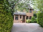 Thumbnail for sale in Anglesey Close, Bishop's Stortford