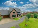 Thumbnail to rent in Pear Tree Croft, Norton-In-Hales