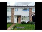 Thumbnail to rent in Edinburgh Avenue, Cambridge