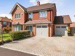 Thumbnail for sale in Ragmoor Close, Riseley, Reading, Hampshire