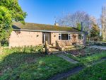 Thumbnail to rent in Mill Road, Willingham