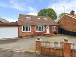 Thumbnail to rent in Ditchling Way, Hailsham