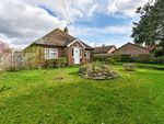 Thumbnail for sale in Petersfield Road, Buriton, Hampshire