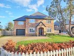 Thumbnail for sale in Amiens Close, Hunsdon, Ware