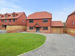 Thumbnail for sale in Bradshaw Close (Plot 5), Guestling