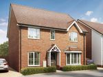 Thumbnail for sale in "The Shelford - Plot 168" at Money Road, Norwich