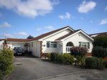 Thumbnail to rent in Martindale Avenue, Colehill, Wimborne