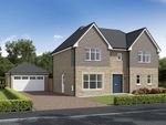 Thumbnail to rent in "Kingsley" at Hunter's Meadow, 2 Tipperwhy Road, Auchterarder