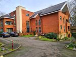 Thumbnail for sale in Palmerstones Court, Bolton