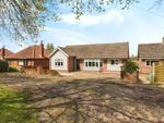 Thumbnail for sale in Lowestoft Road, Worlingham, Beccles