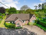 Thumbnail for sale in Mill Road, Thorpe Abbotts, Diss