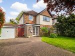Thumbnail to rent in The Dene, Cheam, Sutton