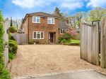 Thumbnail to rent in Mark Cross, Crowborough, East Sussex