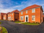 Thumbnail to rent in "Bradgate" at Alder Way, Newcastle Upon Tyne