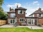 Thumbnail to rent in Beverley Road, Kirkella