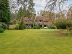 Thumbnail to rent in Headley Road, Grayshott, Hindhead