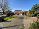 Thumbnail for sale in Highfield Close, North Thoresby, Grimsby
