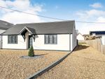 Thumbnail for sale in Cromwell Road, Weeting, Brandon