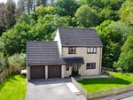 Thumbnail to rent in Cullimore View, Cinderford
