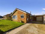 Thumbnail for sale in Holly Close, Downham Market