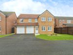 Thumbnail for sale in Waterville Grove, Ashington