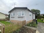 Thumbnail for sale in New Orchard Park, Littleport, Ely, Cambridgeshire