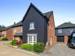 Thumbnail for sale in Dellows Close, Elsenham, Essex