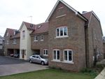 Thumbnail to rent in King George Avenue, Petersfield
