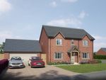 Thumbnail to rent in Cherry Hill Rise, Hereford