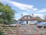 Thumbnail to rent in East Road, East Mersea