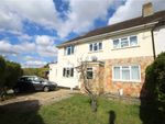 Thumbnail to rent in Larchwood Drive, Englefield Green, Egham, Surrey
