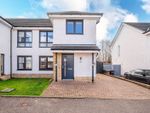 Thumbnail to rent in Cypress Road, Carfin, Motherwell