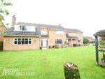 Thumbnail for sale in Fairview Way, Spalding, South Holland