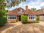 Thumbnail to rent in Ripley, Surrey