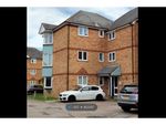 Thumbnail to rent in Grantchester Court, Highwoods, Colchester
