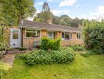 Thumbnail for sale in Medstead Road, Beech, Alton