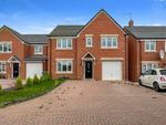 Thumbnail to rent in Aster Drive, Rugby