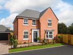 Thumbnail to rent in "Holden" at Beck Lane, Sutton-In-Ashfield