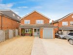 Thumbnail for sale in Pecks Hill, Nazeing, Waltham Abbey