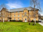 Thumbnail to rent in Cromwell Road, Cambridge
