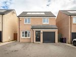 Thumbnail to rent in Finlay Crescent, Arbroath, Angus