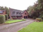 Thumbnail for sale in Castel Close, Newcastle-Under-Lyme
