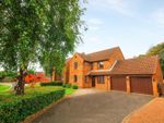 Thumbnail to rent in Well Ridge Park, Whitley Bay