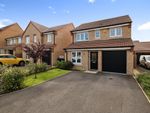 Thumbnail to rent in De Havilland Wynd, Hemlington, Middlesbrough