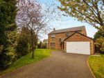 Thumbnail for sale in Willow Park, Scots Gap, Morpeth