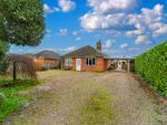 Thumbnail for sale in Hadleigh Road, East Bergholt, Colchester