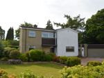 Thumbnail to rent in Godfrey Crescent, Larbert, Stirlingshire