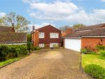 Thumbnail for sale in Holywell Road, Studham, Dunstable, Bedfordshire